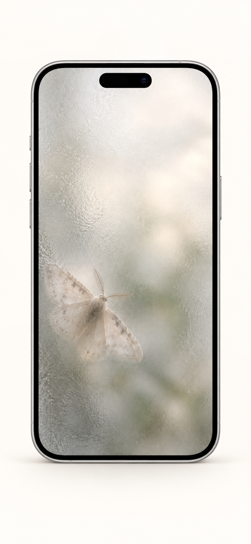 Moonwhite Moth · Phone wallpaper preview
