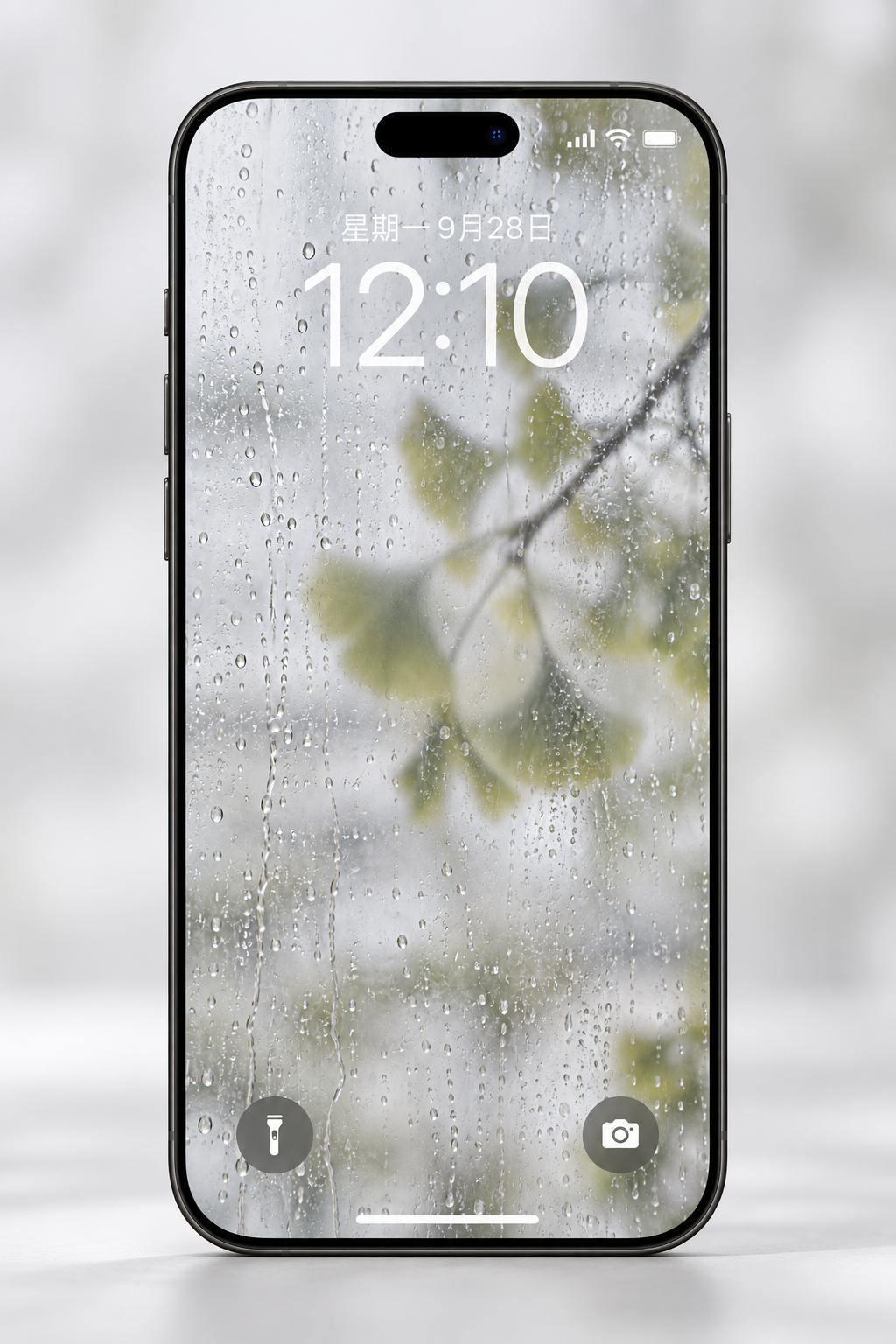 Rainlit Greenery phone wallpaper preview