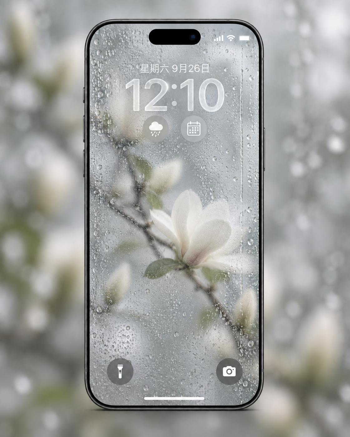 Rainy magnolia phone wallpaper preview
