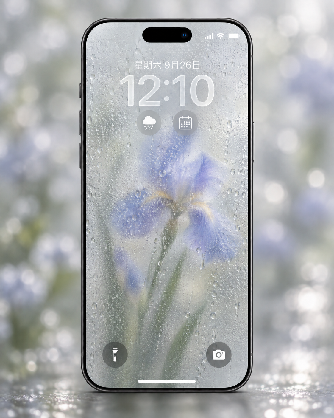 Rainy iris phone wallpaper preview